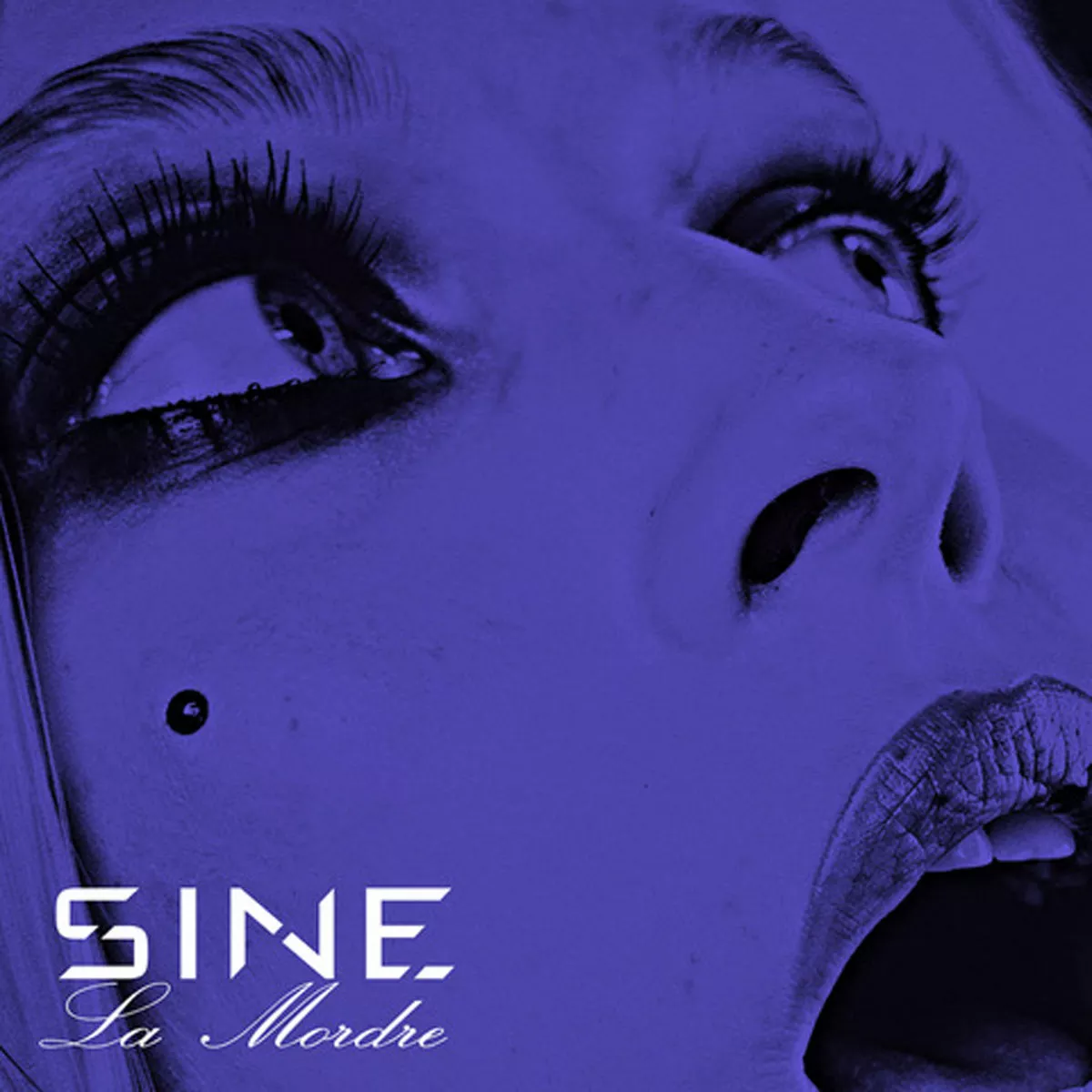 La Mordre - Sine