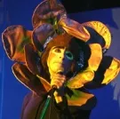 Genesis-hyldest i København