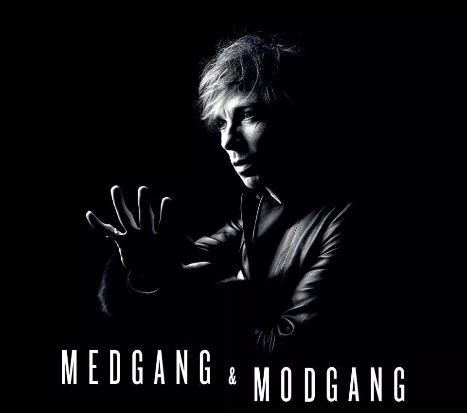 Medgang og modgang - Sylvester Larsen