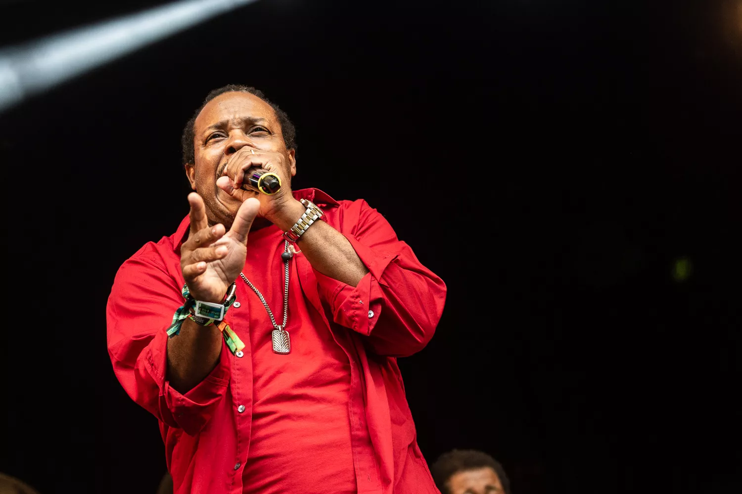 Reggae-fællessang i bøgeskoven