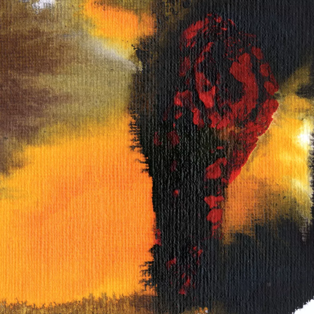 Same As You - Polar Bear