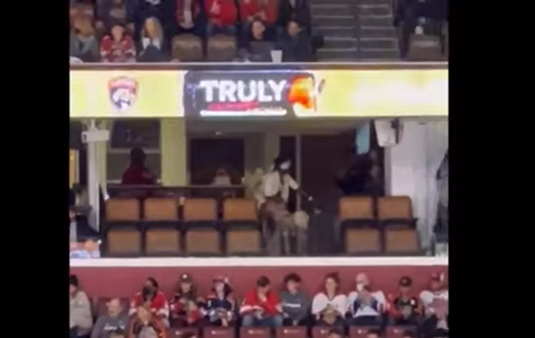 Video påstås at vise rapperen Kodak Black have sex under en NHL-kamp