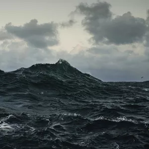 Repave - Volcano Choir