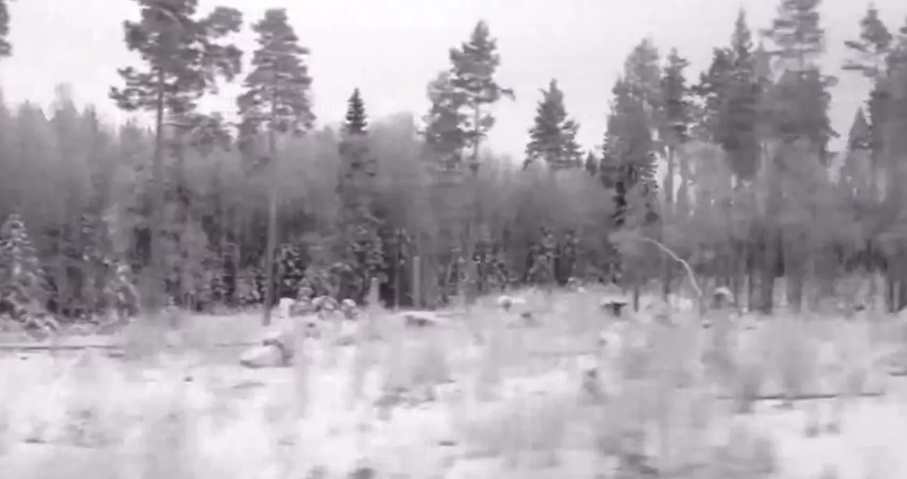 VIDEOPREMIÄR: Don't Be A Stranger - Long Time Leaving