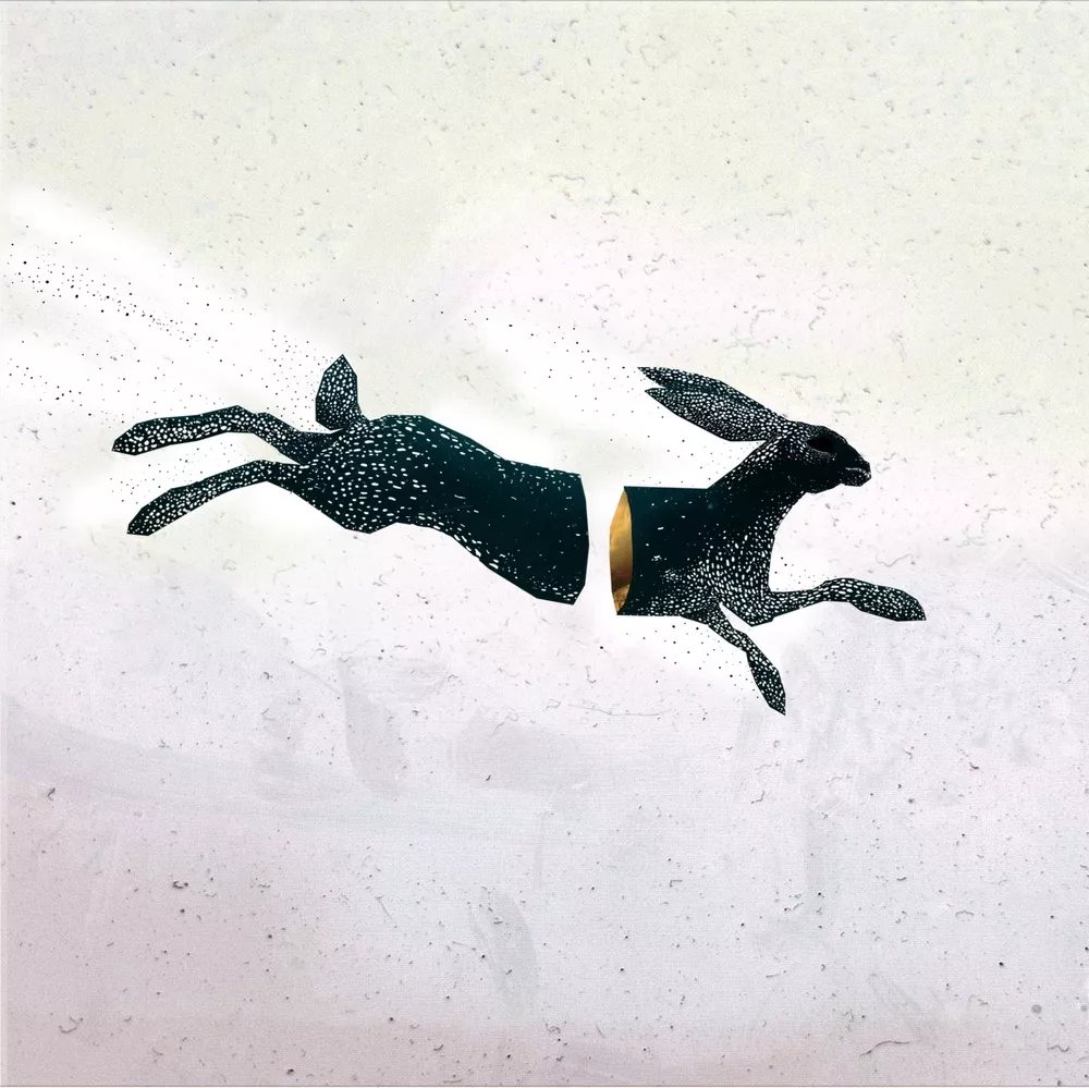 Morgenlysskær - Fugleflugten