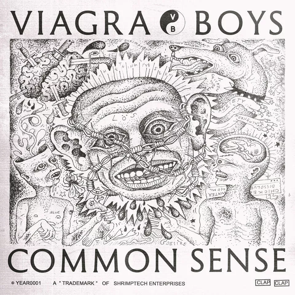 Common Sense - Viagra Boys