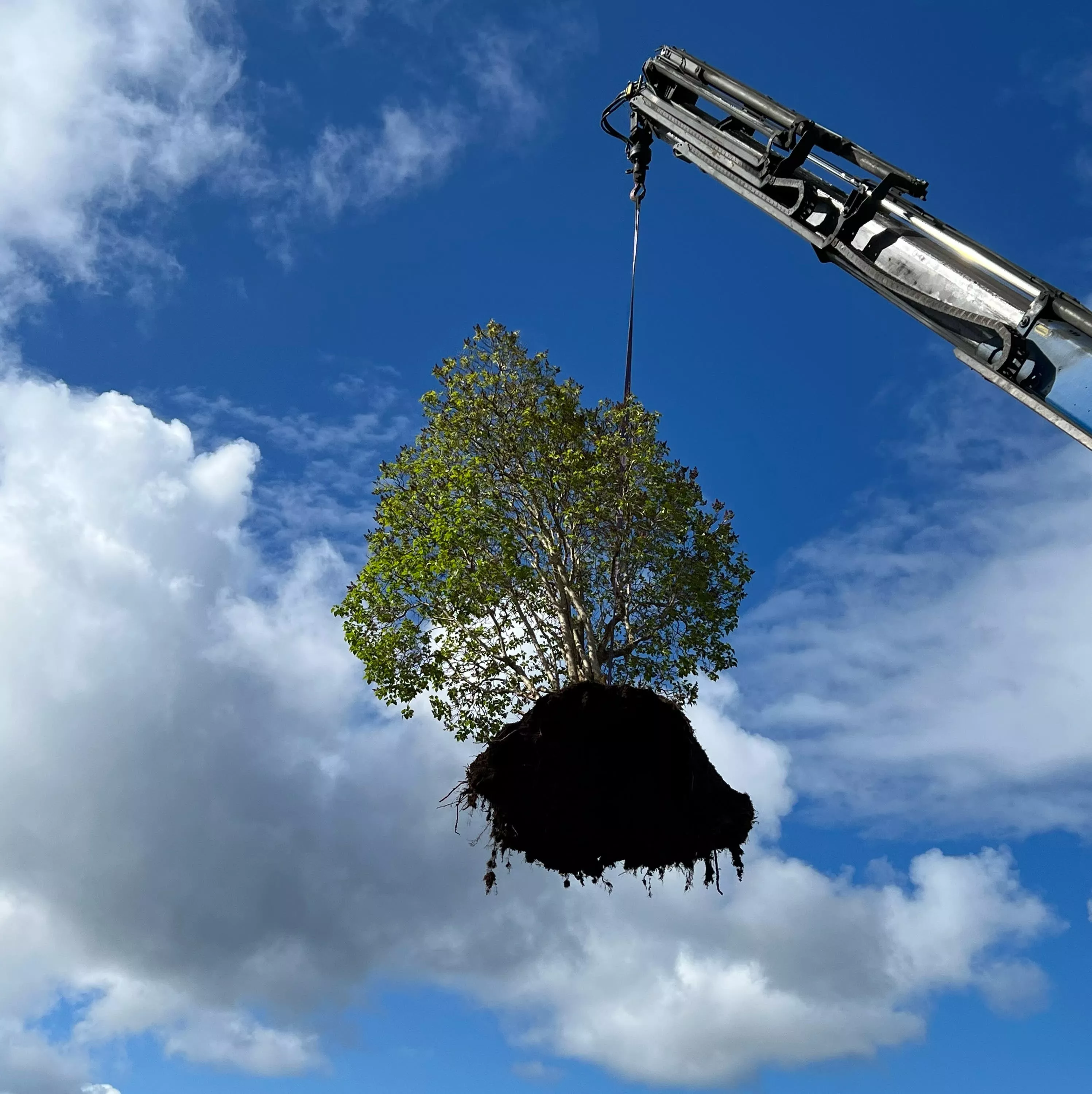 Bak Skyene - Silja Sol