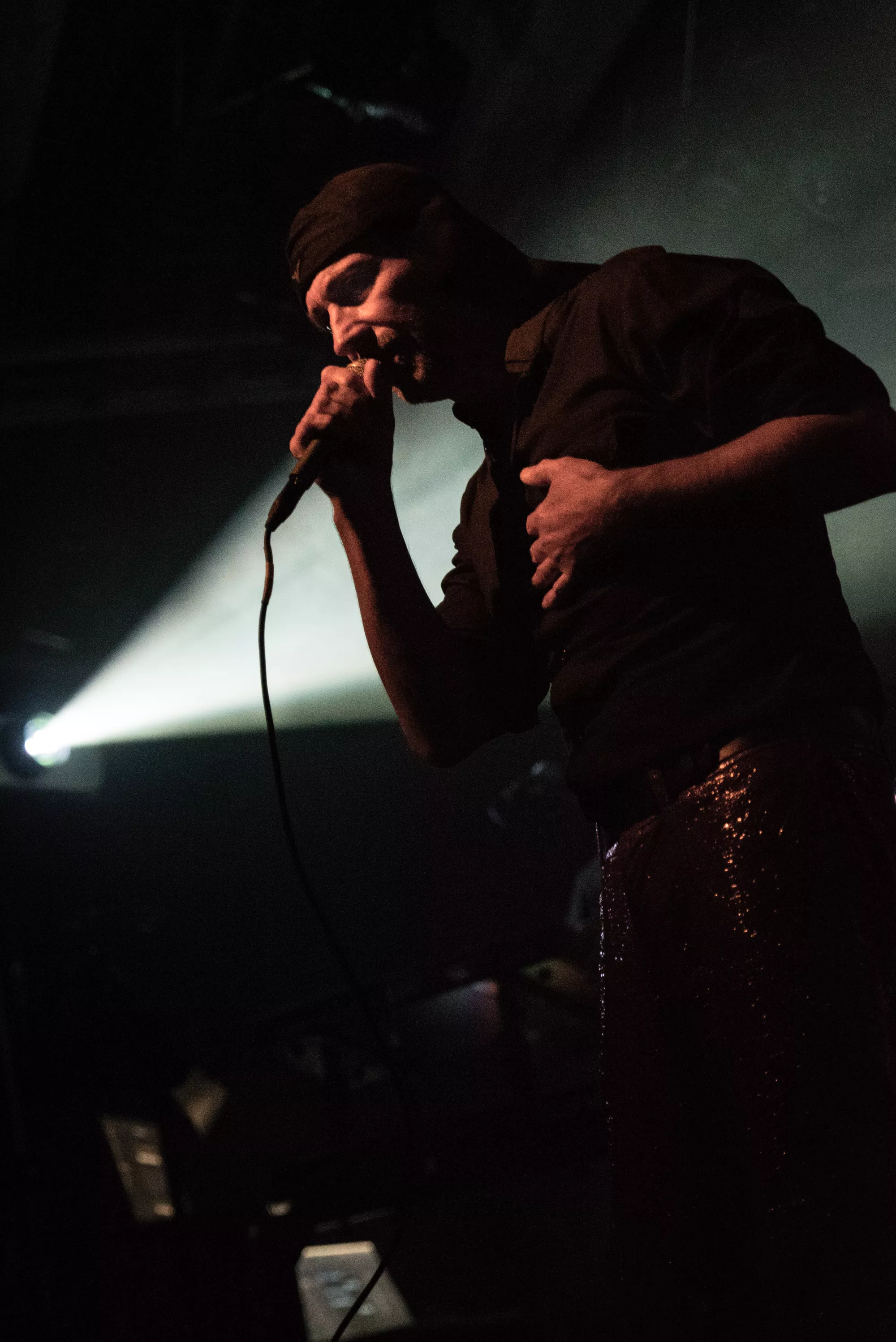 Slovenske lydlandskaber