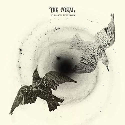 Distance Inbetween - The Coral