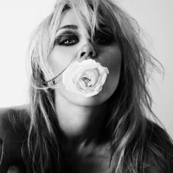 Bass Persuades - Miley