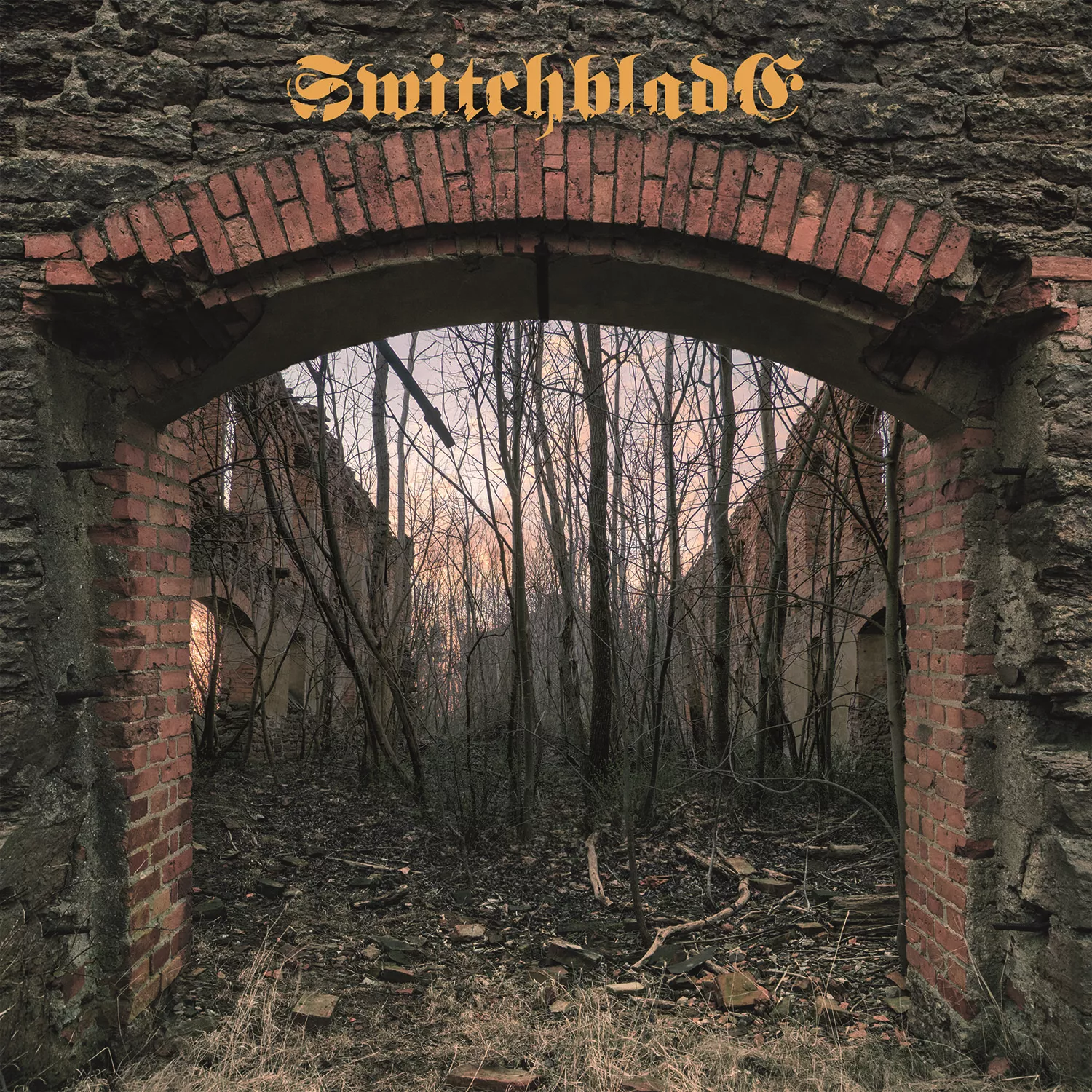 [2016] - Switchblade