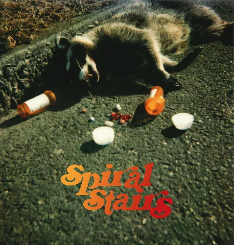 The Real Feel - Spiral Stairs