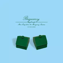 Bigamy - More Songs From The Monogamy Sessions - Tim Kasher
