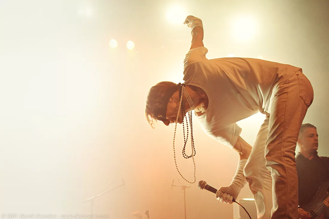 Bilde tatt da bob hund spilte Store Vega i København i 2011