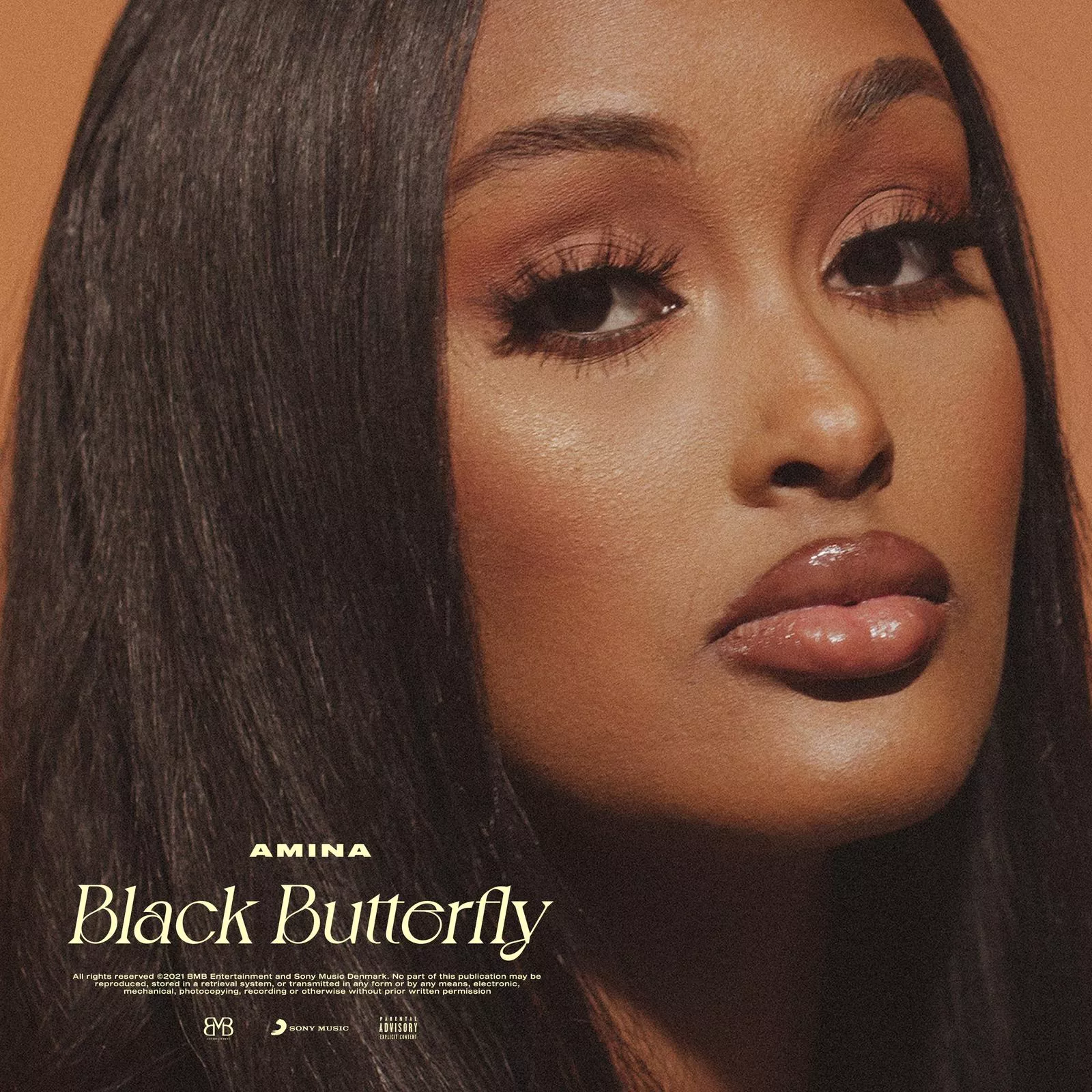 Black Butterfly - Amina