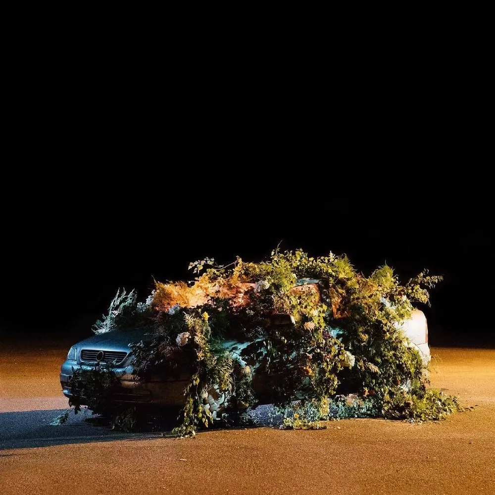 Kronisk skeptisk - Lamin