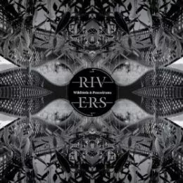 Rivers - Wildbirds & Peacedrums
