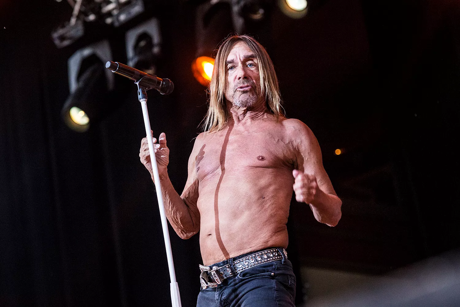 Norske artister hyller Iggy Pop i anledning rockerens 70-årsdag