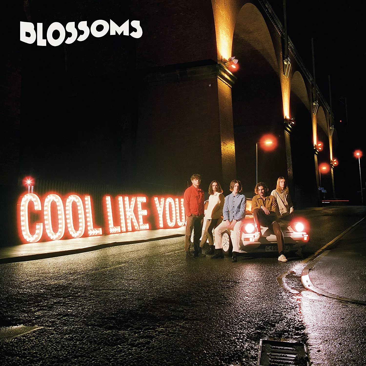 Cool Like You - Blossoms