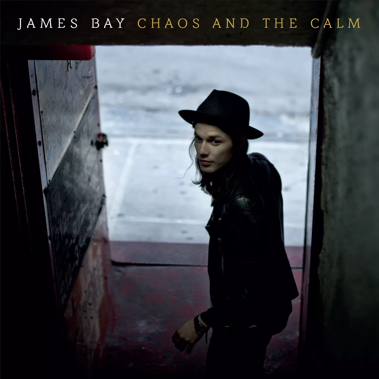 Chaos And The Calm - James Bay
