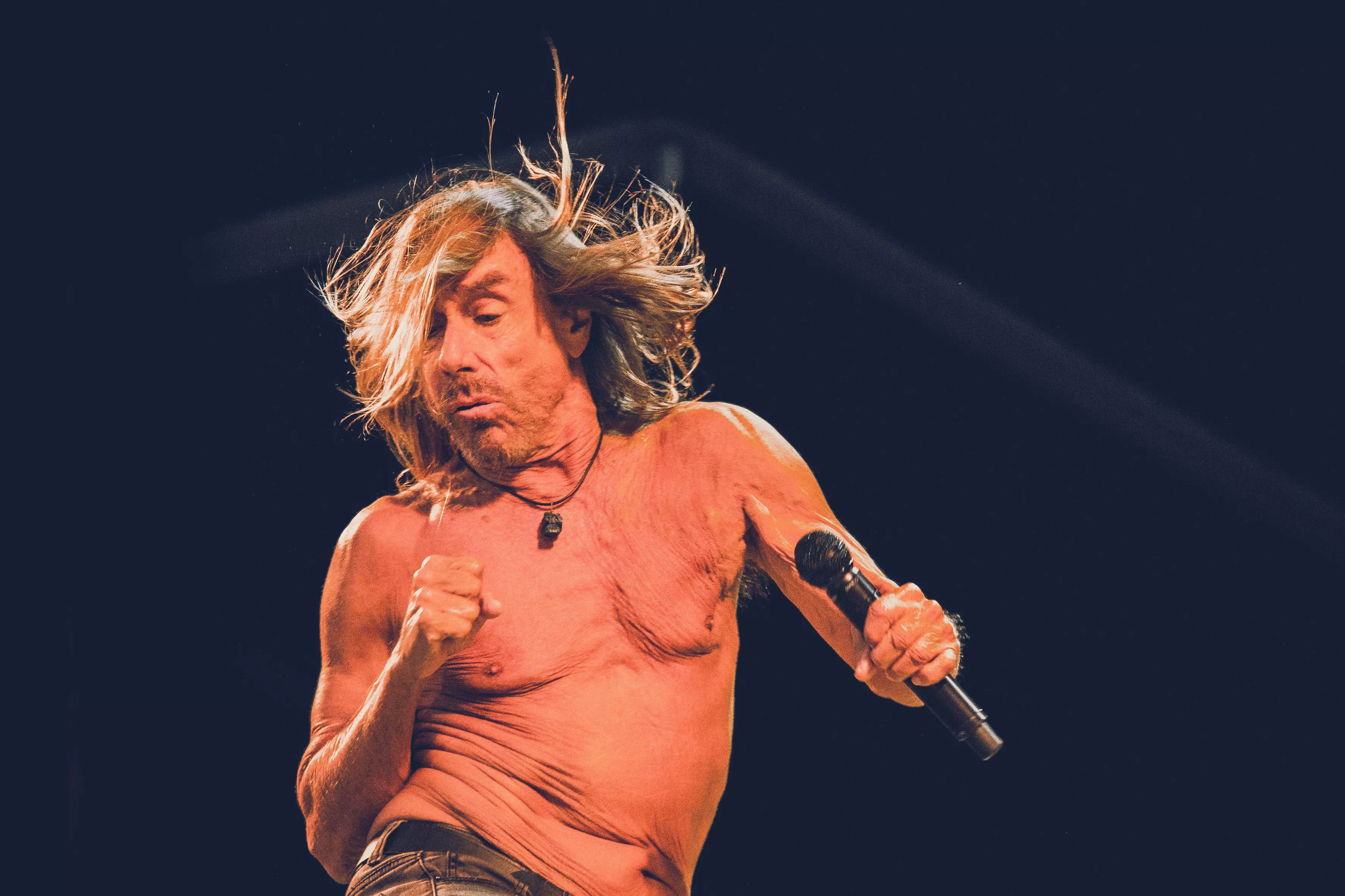 Iggy Pop har danske rødder
