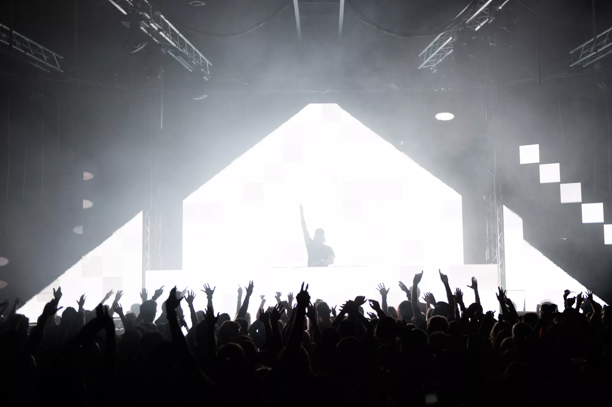 Kongsted var konge af bøgeskoven