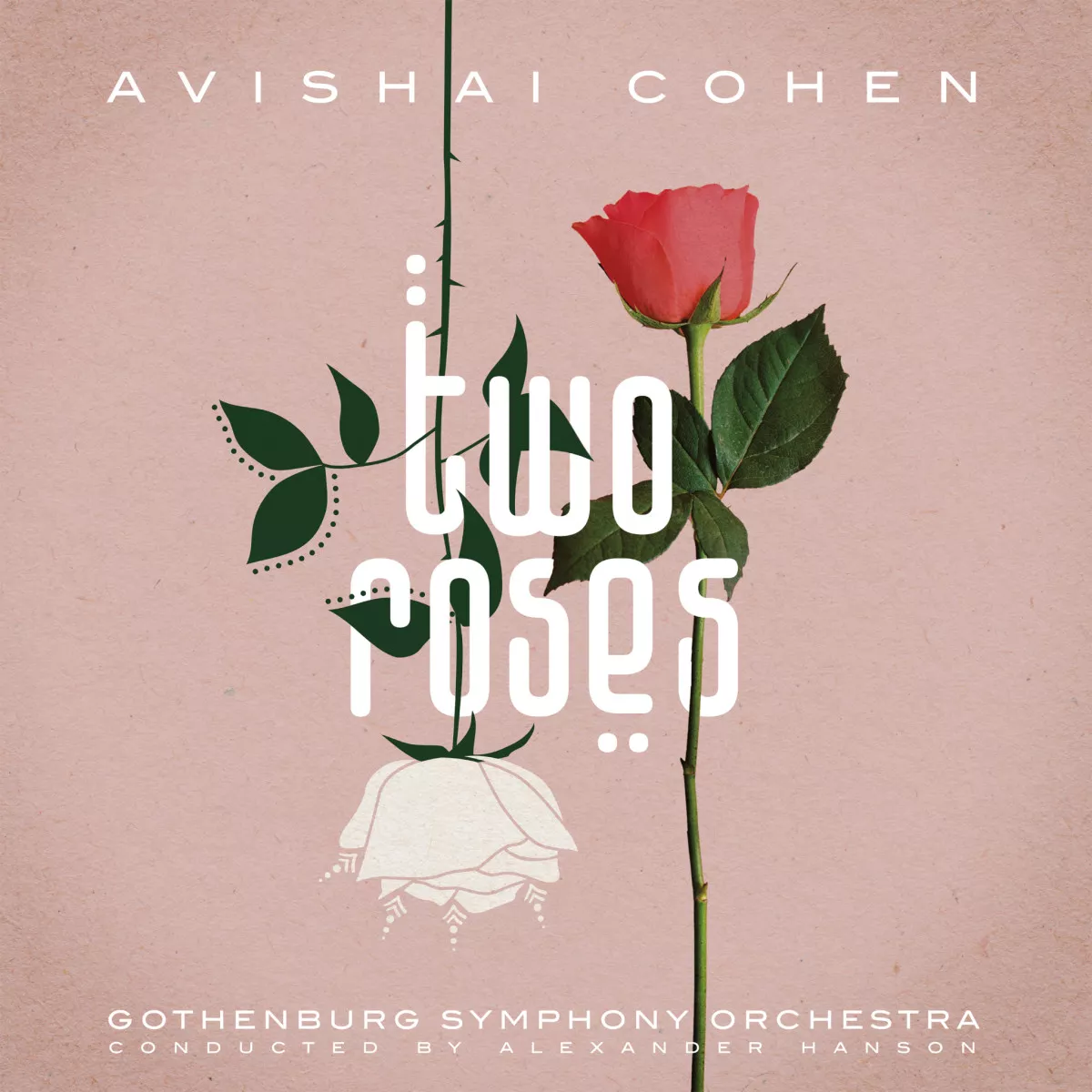 Two Roses - Avishai Cohen
