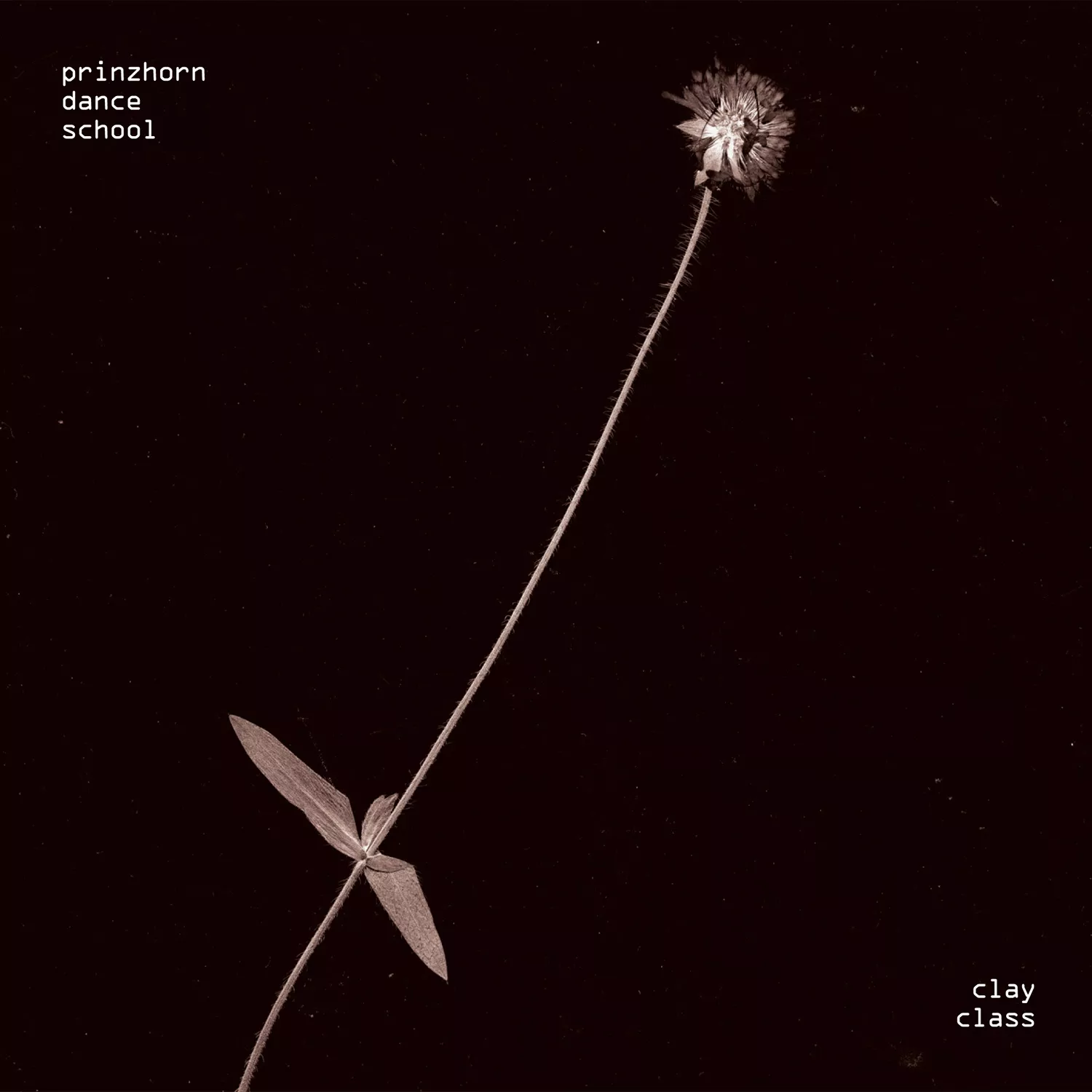 Clay Class - Prinzhorn Dance School