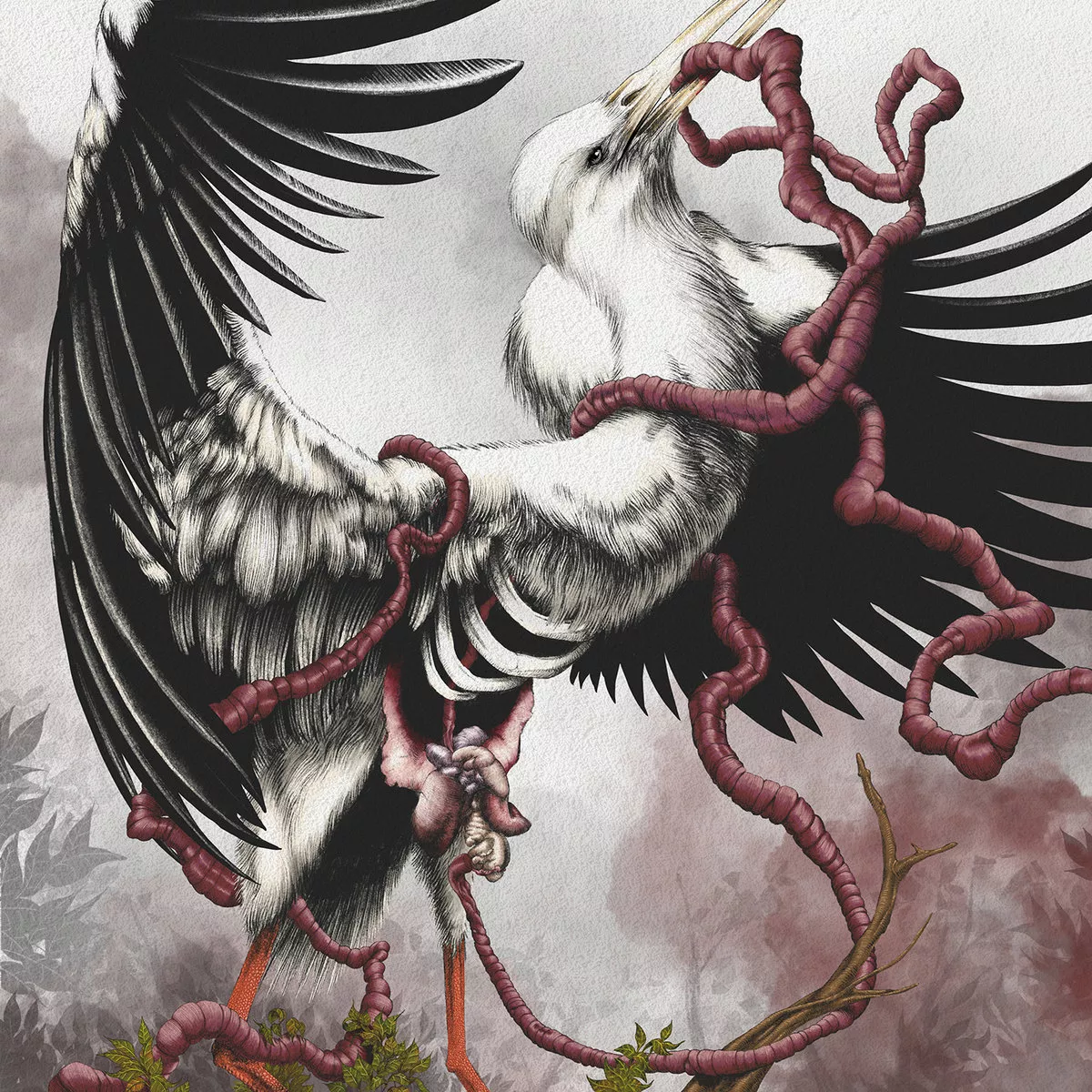 Barren By Design - Grace Will Fall