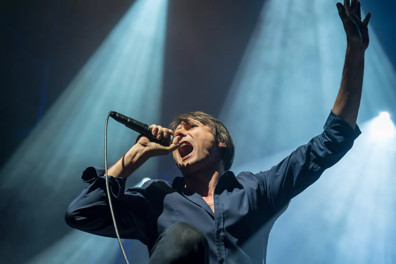 GUIDE: Veckans konsertmåsten