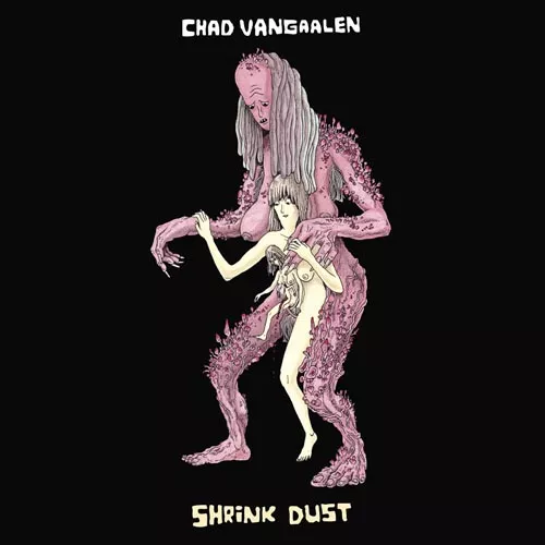 Shrink Dust - Chad VanGaalen