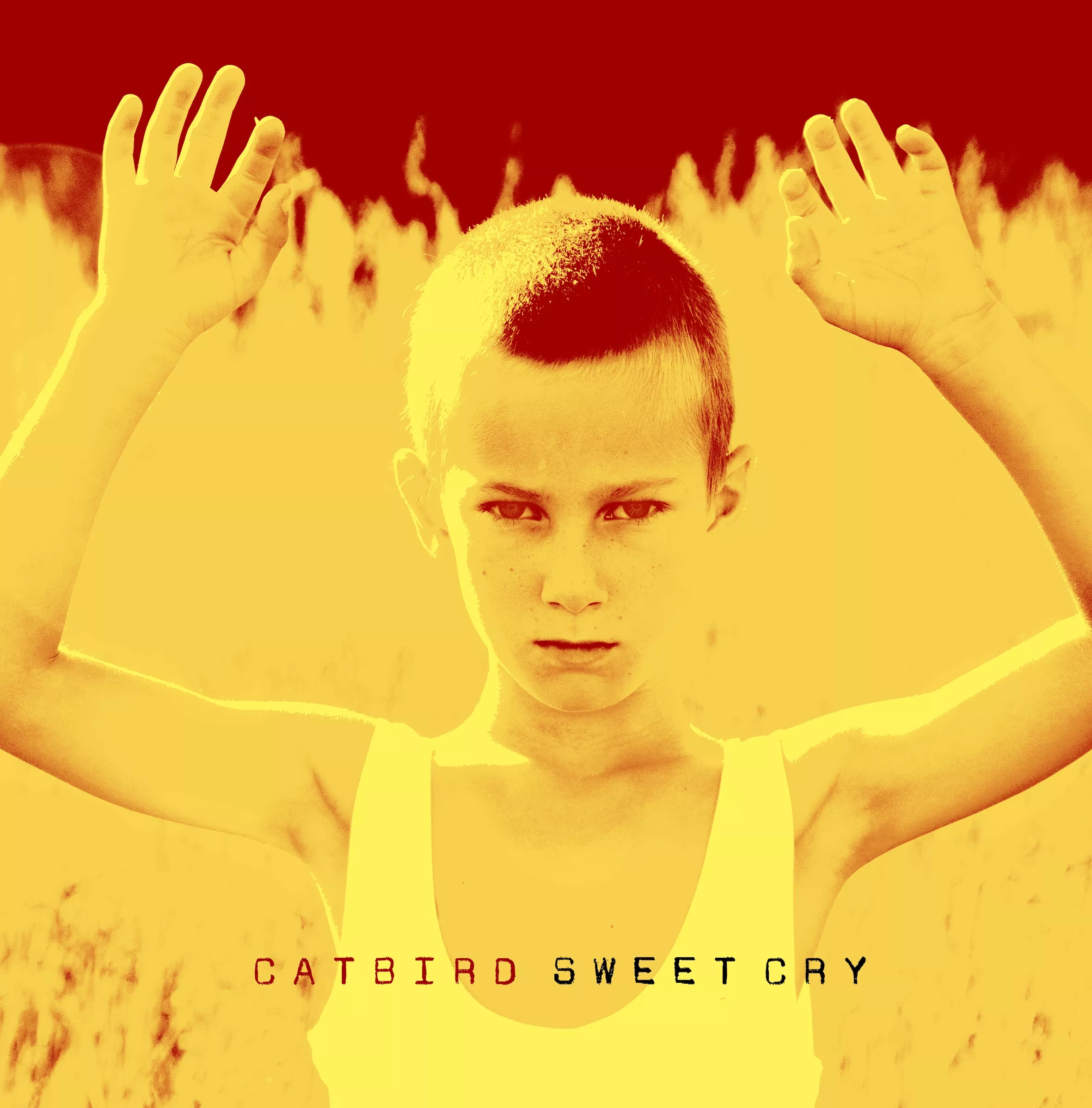 Sweet Cry - Catbird