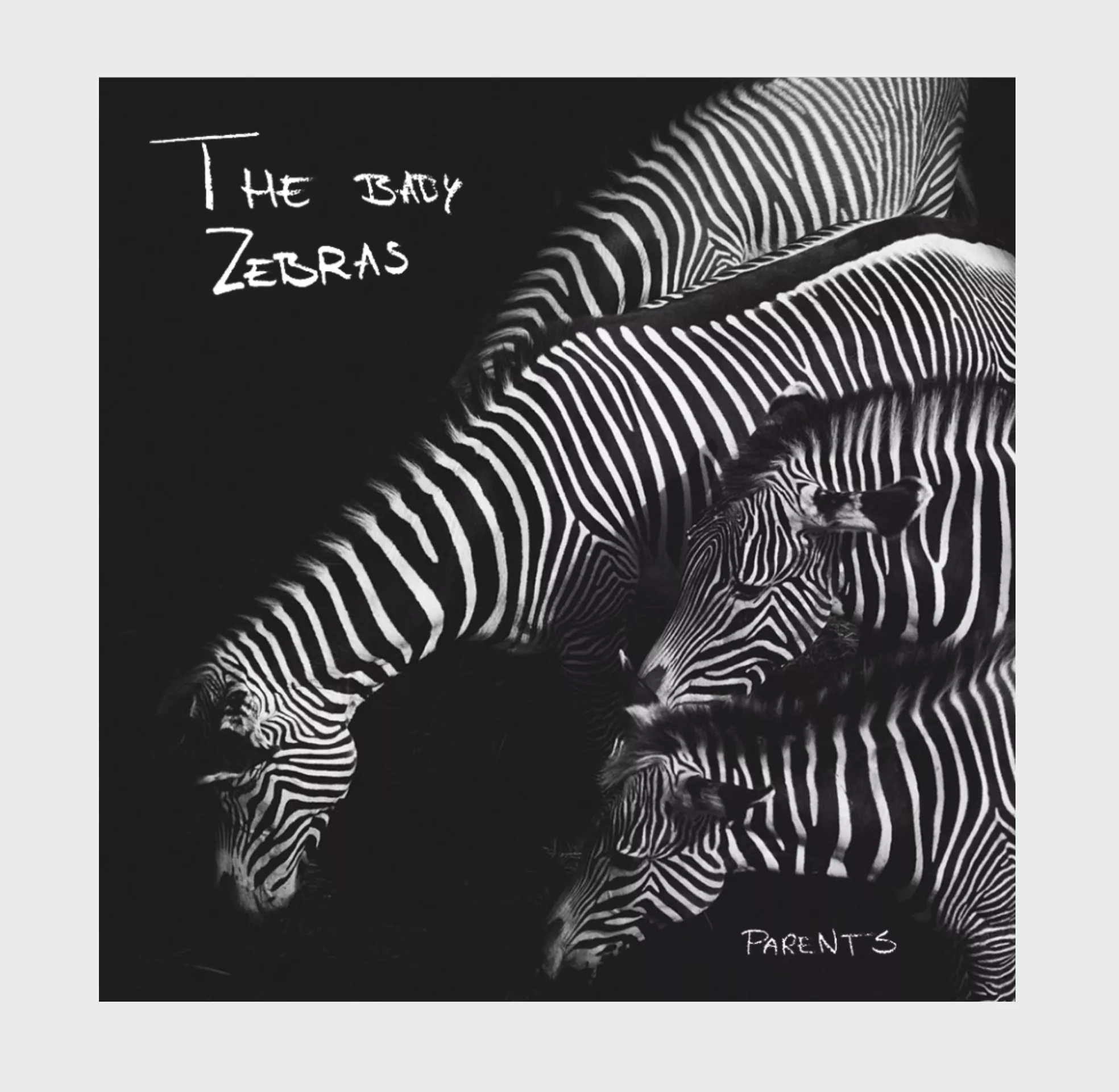 Parents - The Baby Zebras