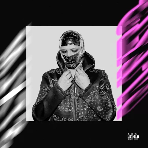 Mycket elektroniskt väsen för ingenting