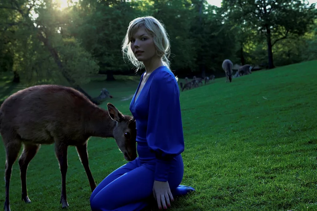 Engelske roser til Our Broken Garden