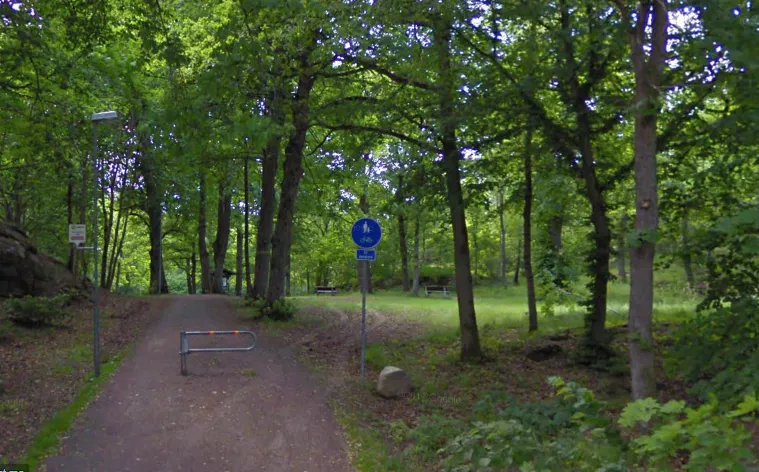 Den 12 år gamla gratisfestivalen ställs in