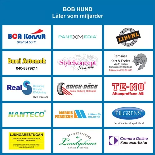 Låter som miljarder - bob hund