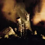 Hør to nye Pearl Jam-sange i dag