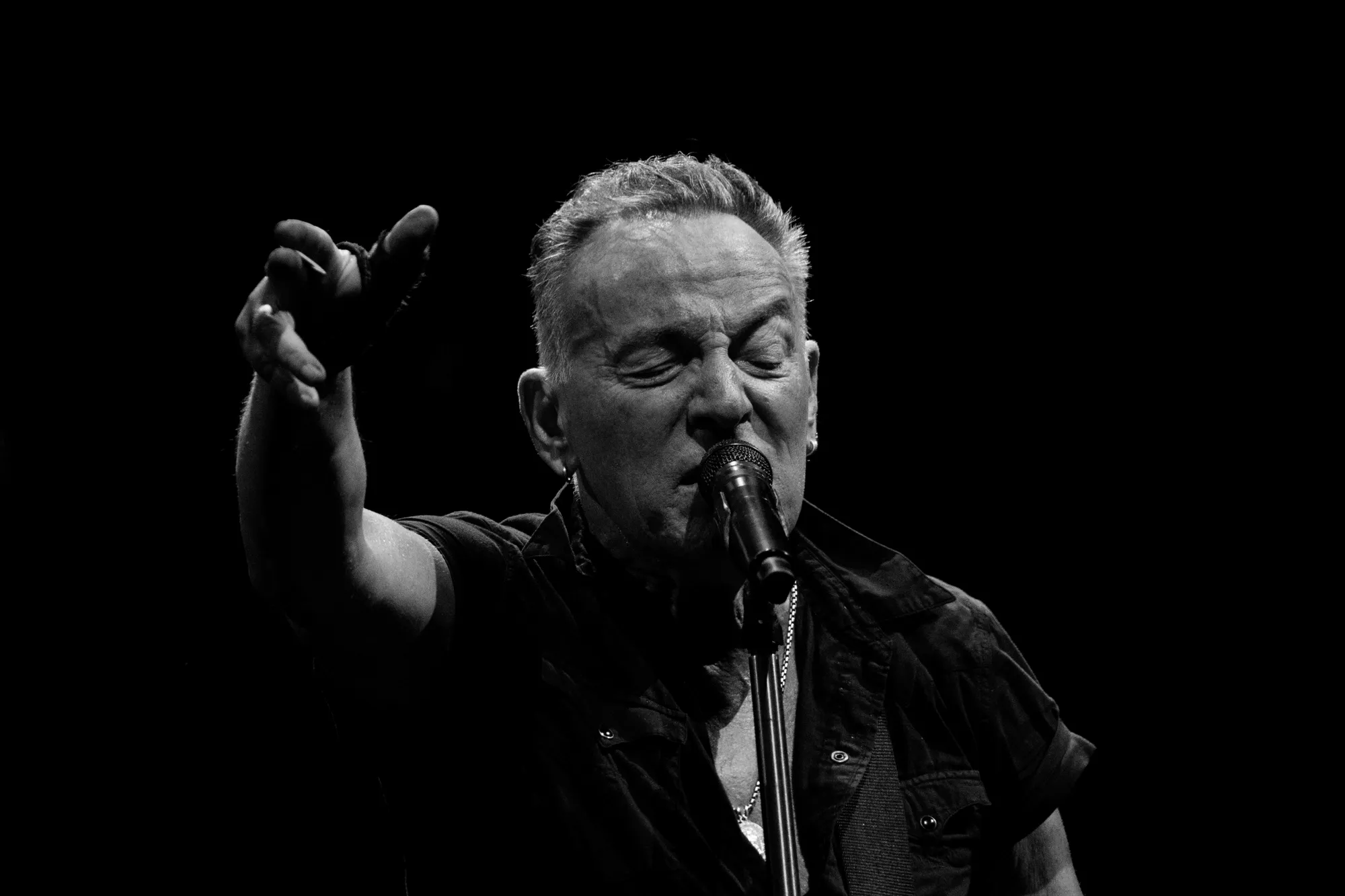 Majestætisk opvisning i værdighed og vitalitet