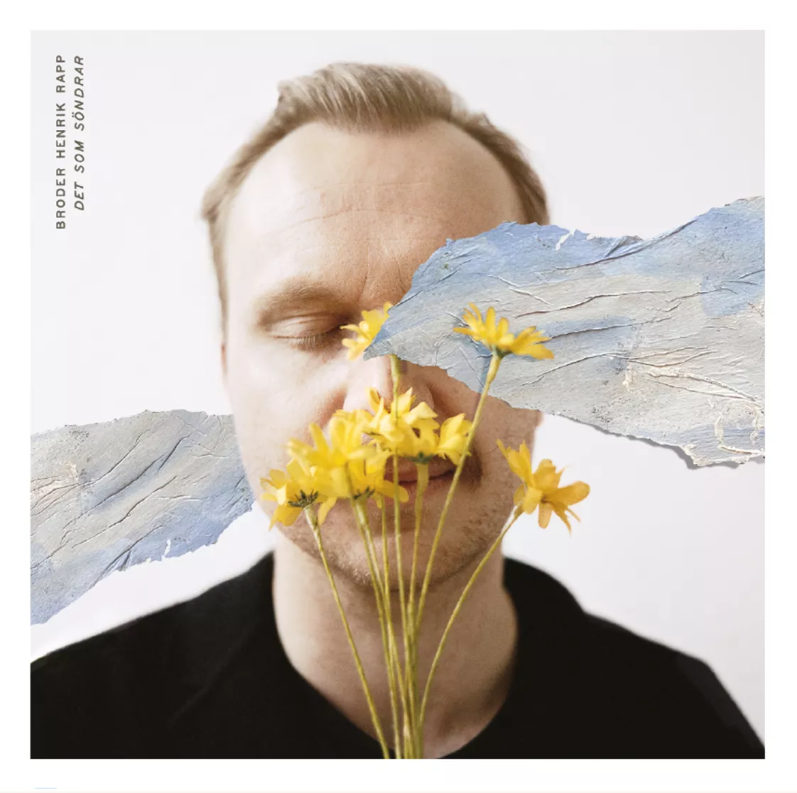 Det Som Söndrar - Broder Henrik Rapp