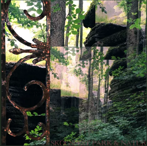 Skogsfest - Park & Natur