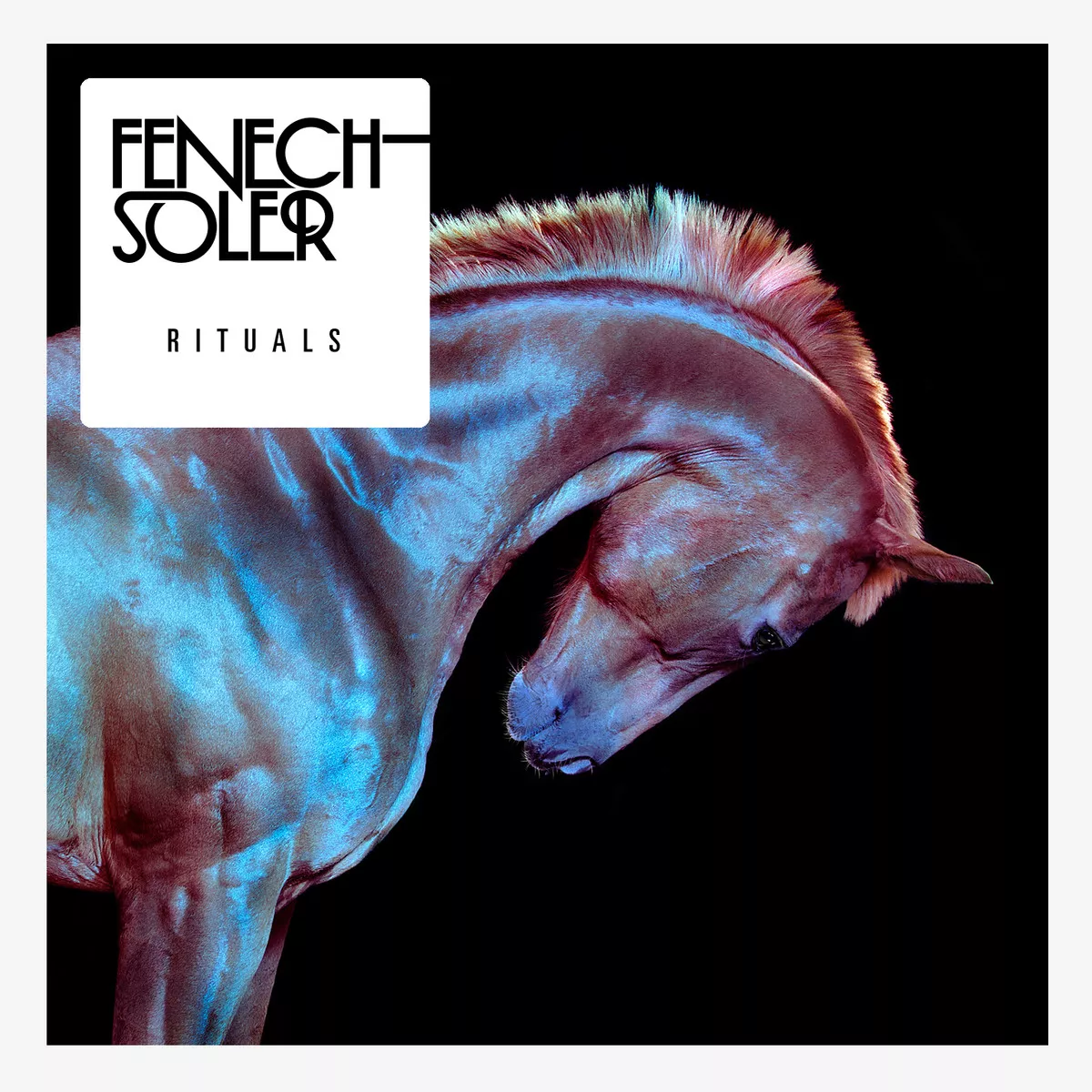 Rituals - Fenech-Soler