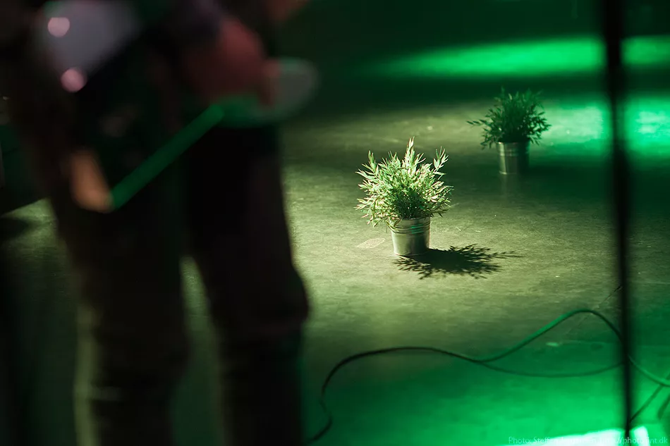 Pop Revo fuldender program