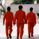 Nyt album fra Trans Am