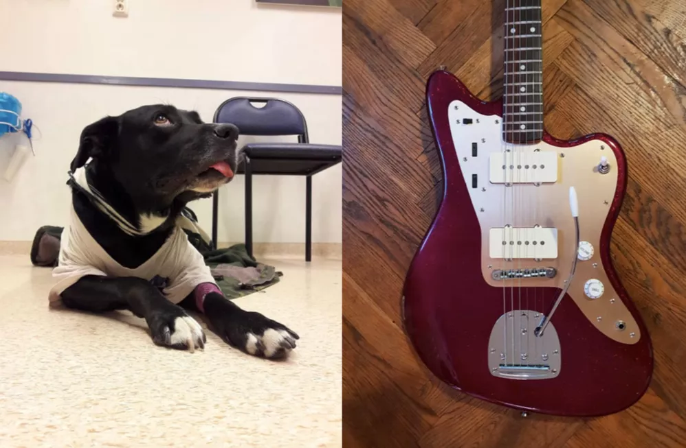 Säljer sina instrument för att ha råd med hund-operation