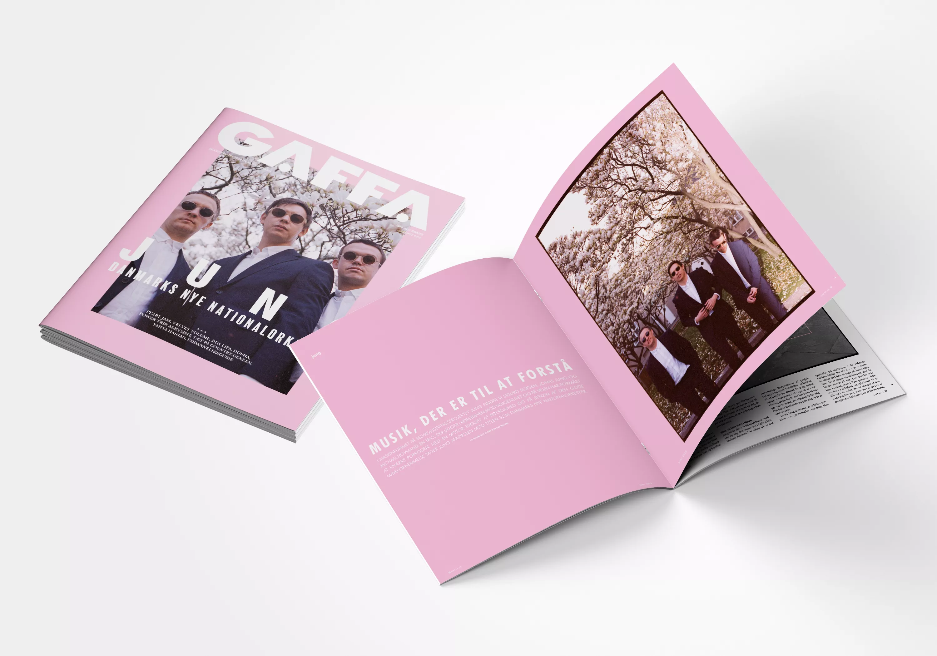 MAGASINET ER TILBAGE: Med Jung, Pearl Jam, Velvet Volume og mange, mange flere