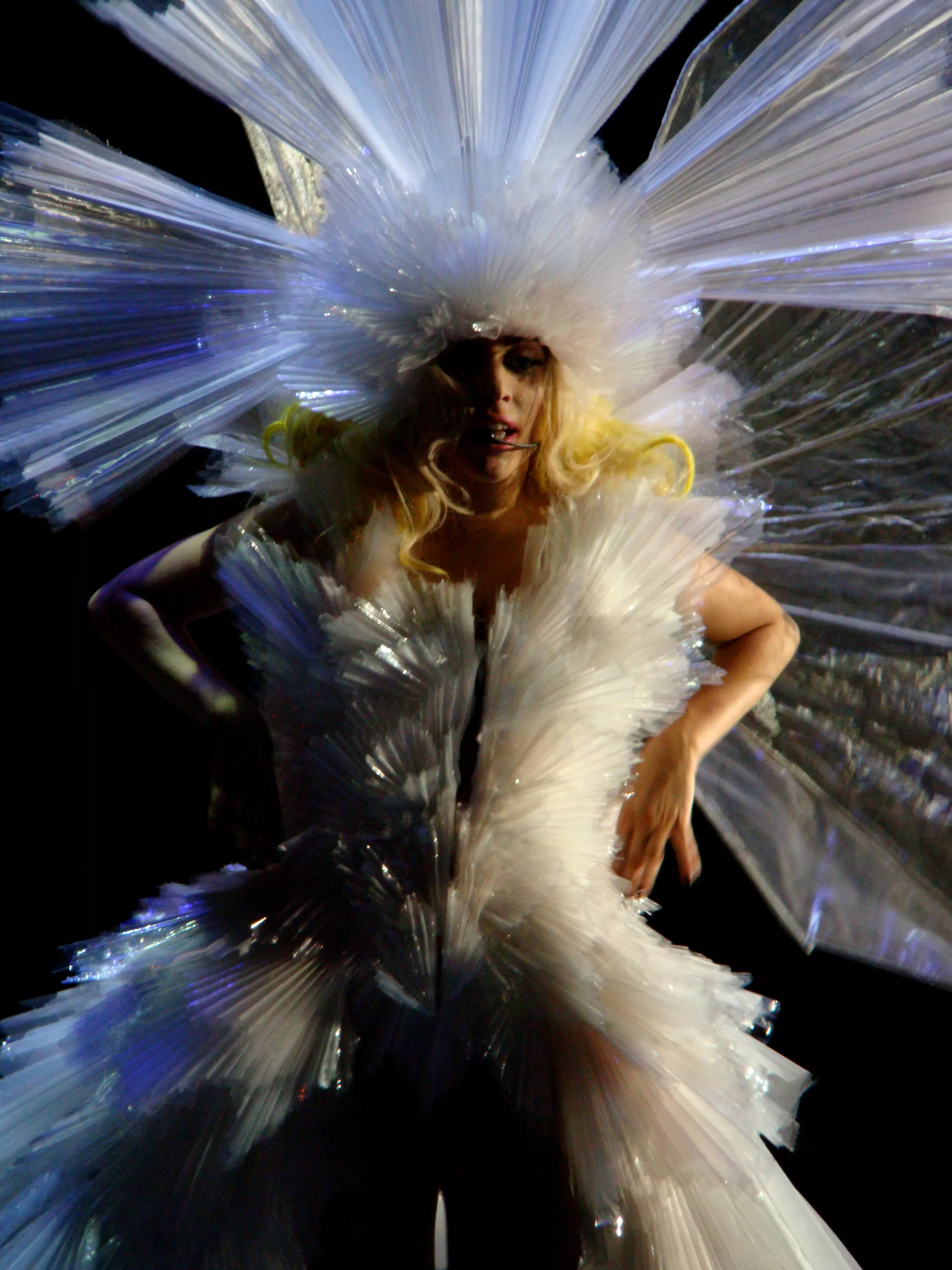 Lady Gaga retar upp djurrättsaktivister