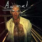 R.E.M. på vej med ny single og live-dvd