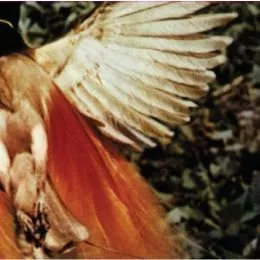 Scarlet Chives - Scarlet Chives