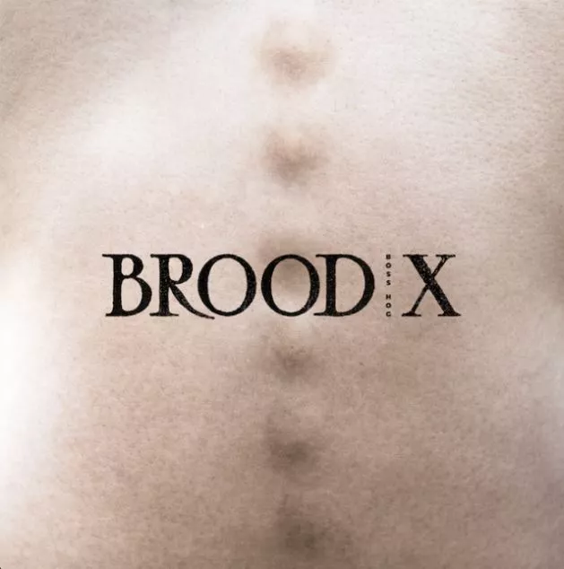 Brood X - Boss Hog